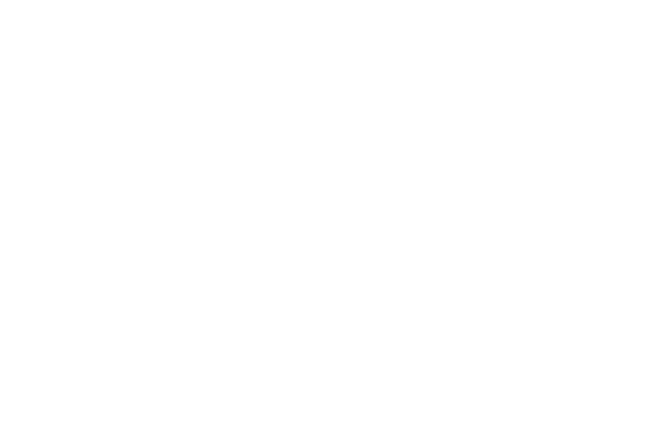 star travel and entertainment